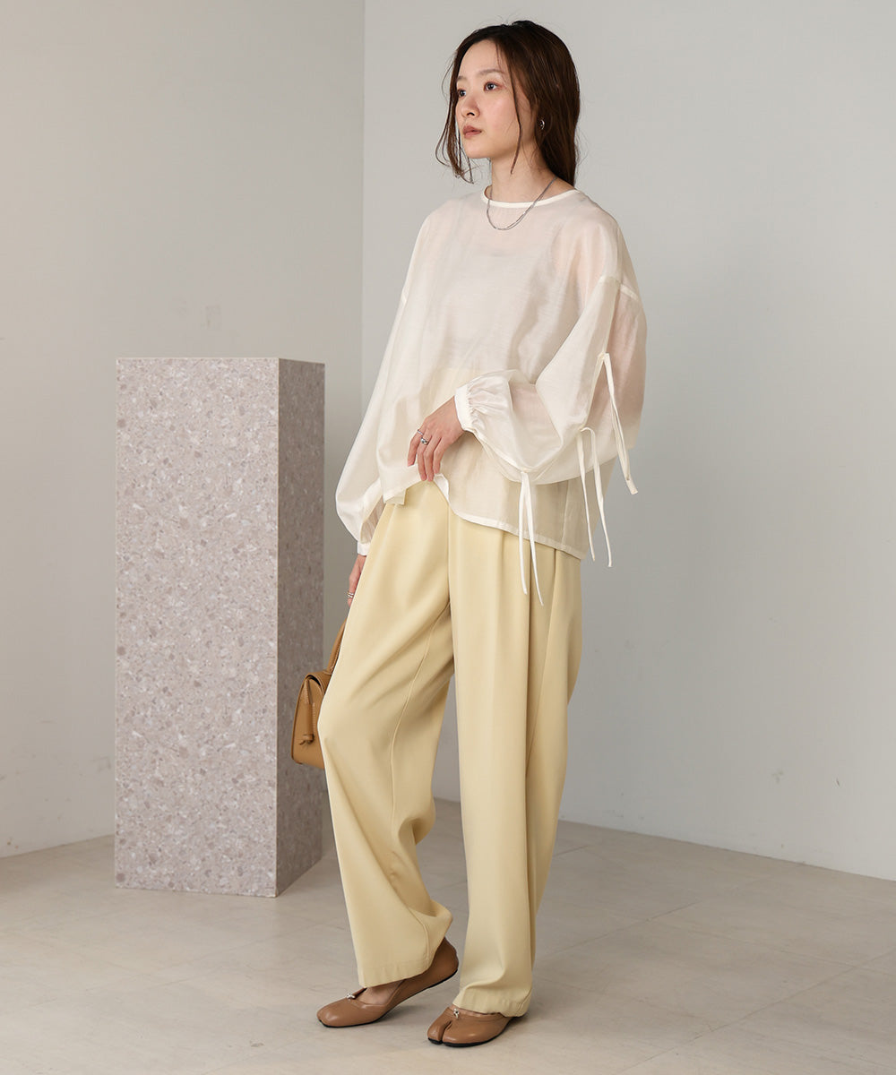 SLEEVE RIBBON SHEER BLOUSE