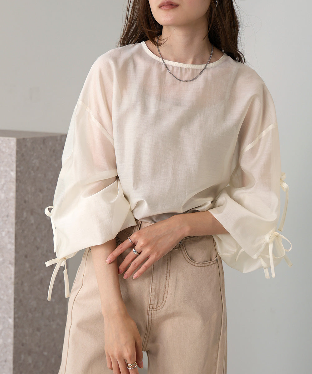 SLEEVE RIBBON SHEER BLOUSE
