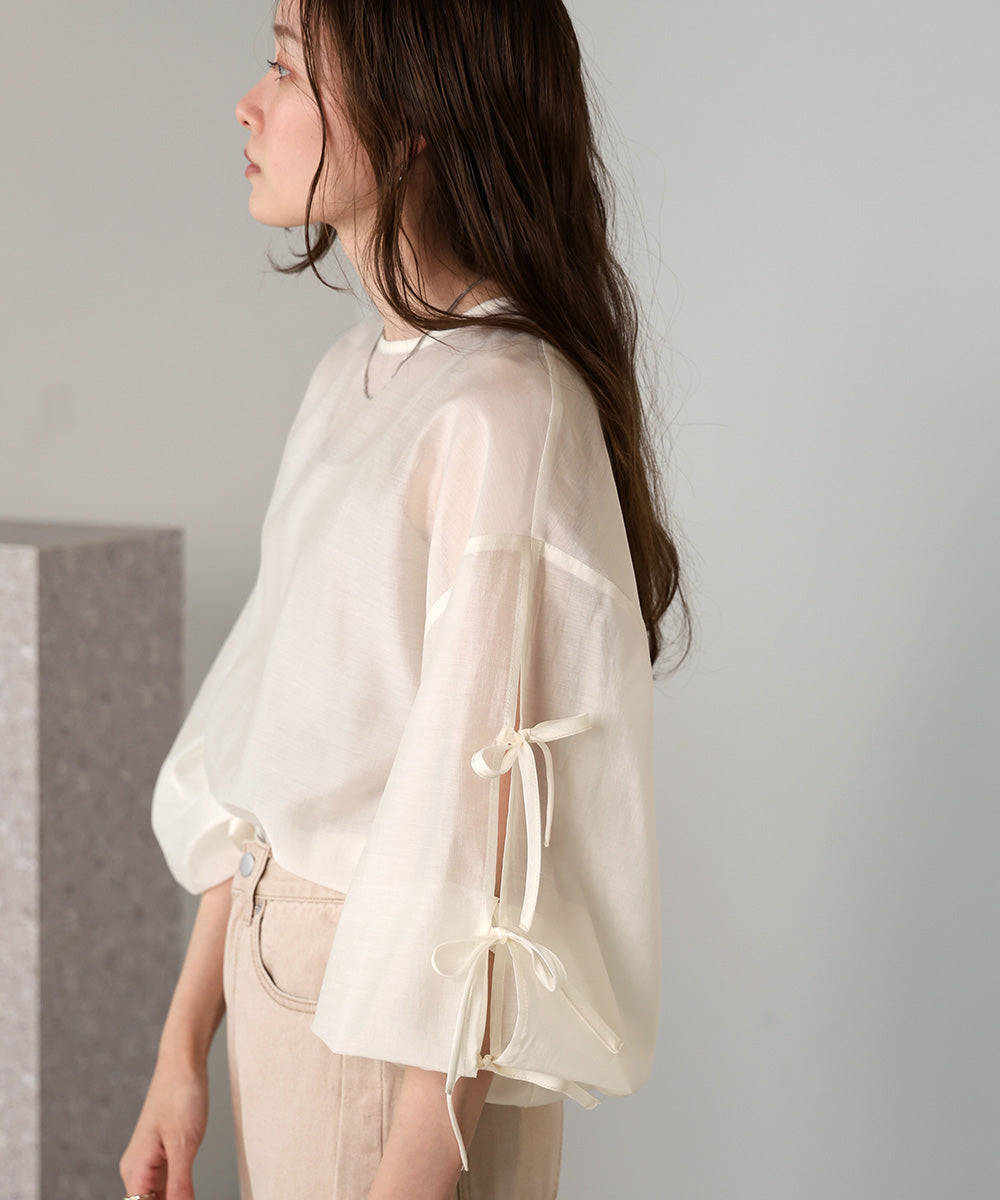 SLEEVE RIBBON SHEER BLOUSE