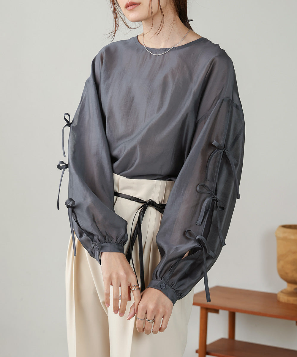 SLEEVE RIBBON SHEER BLOUSE