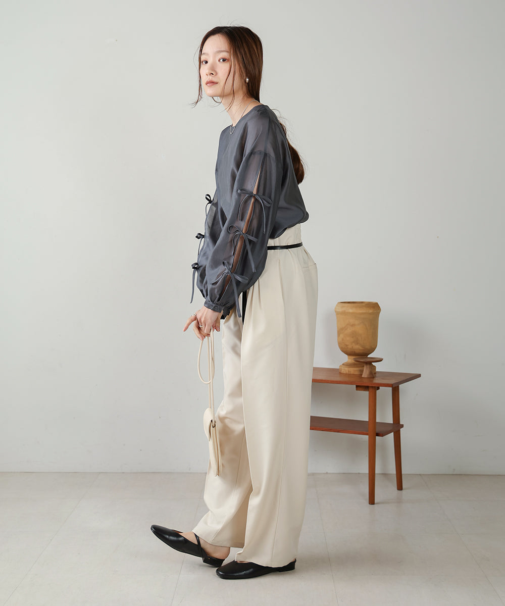 SLEEVE RIBBON SHEER BLOUSE