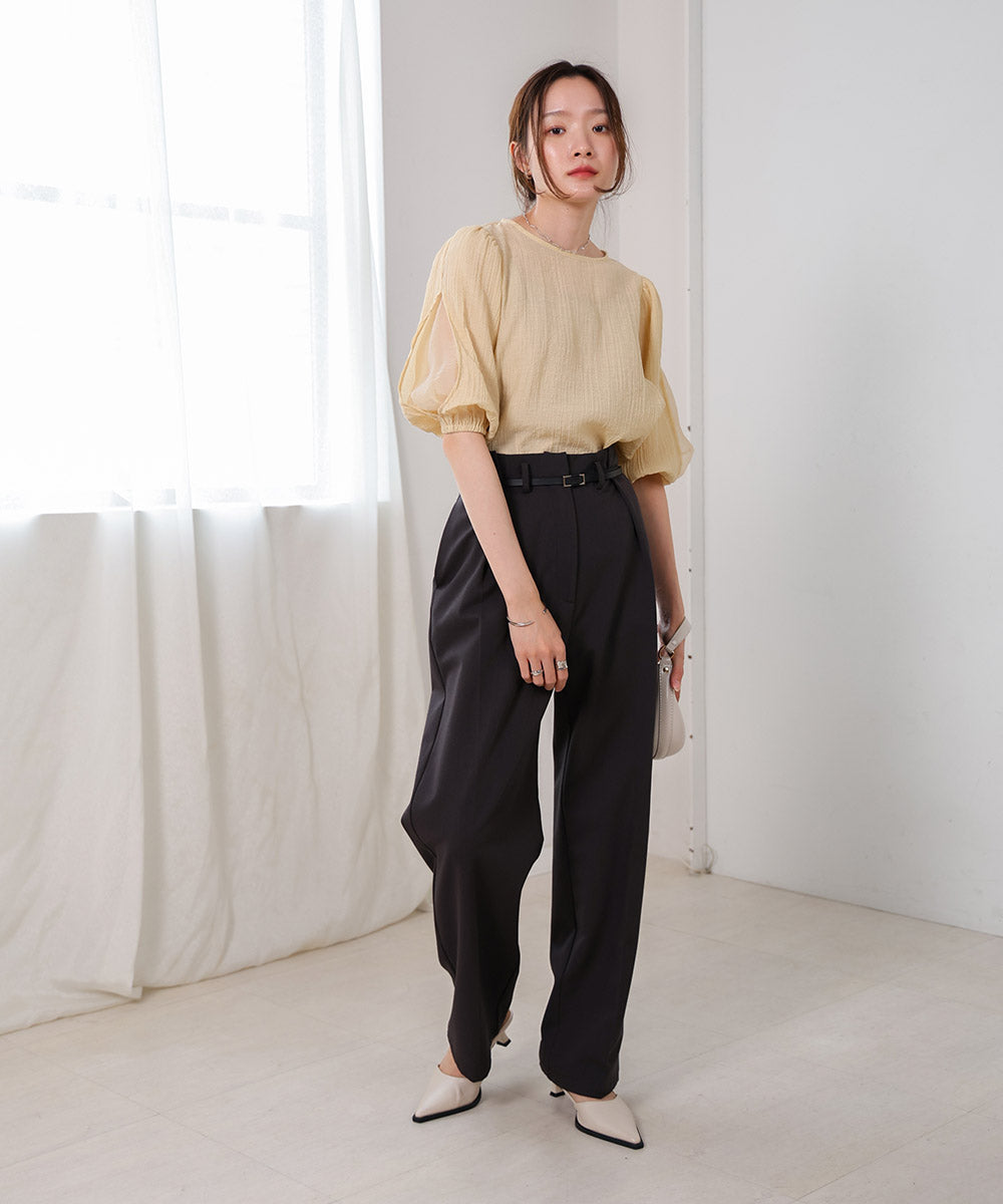 BLOUSE WITH VOLUME SHEER SLEEVES