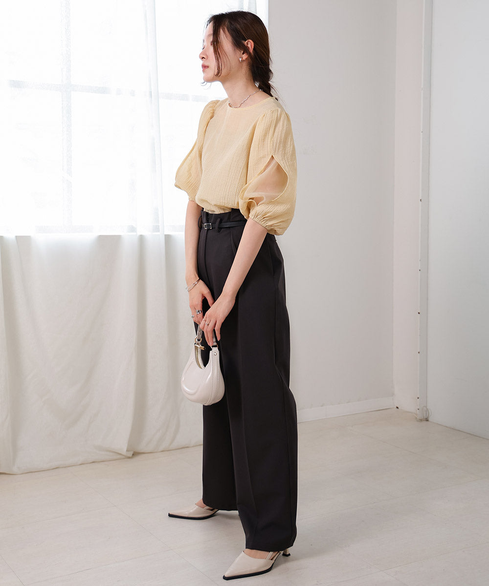 BLOUSE WITH VOLUME SHEER SLEEVES