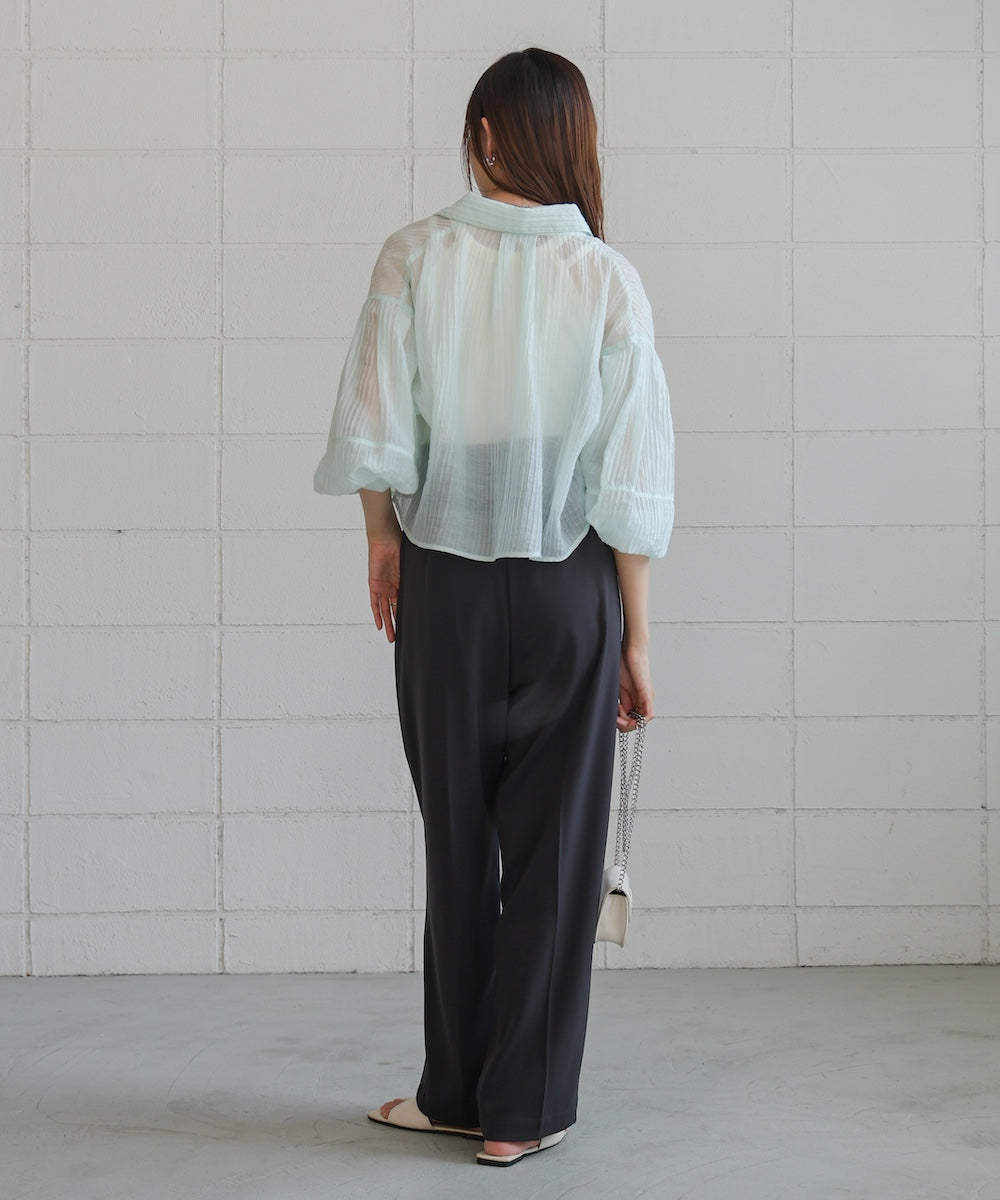 tuck sleeve compact sheer shirt blouse