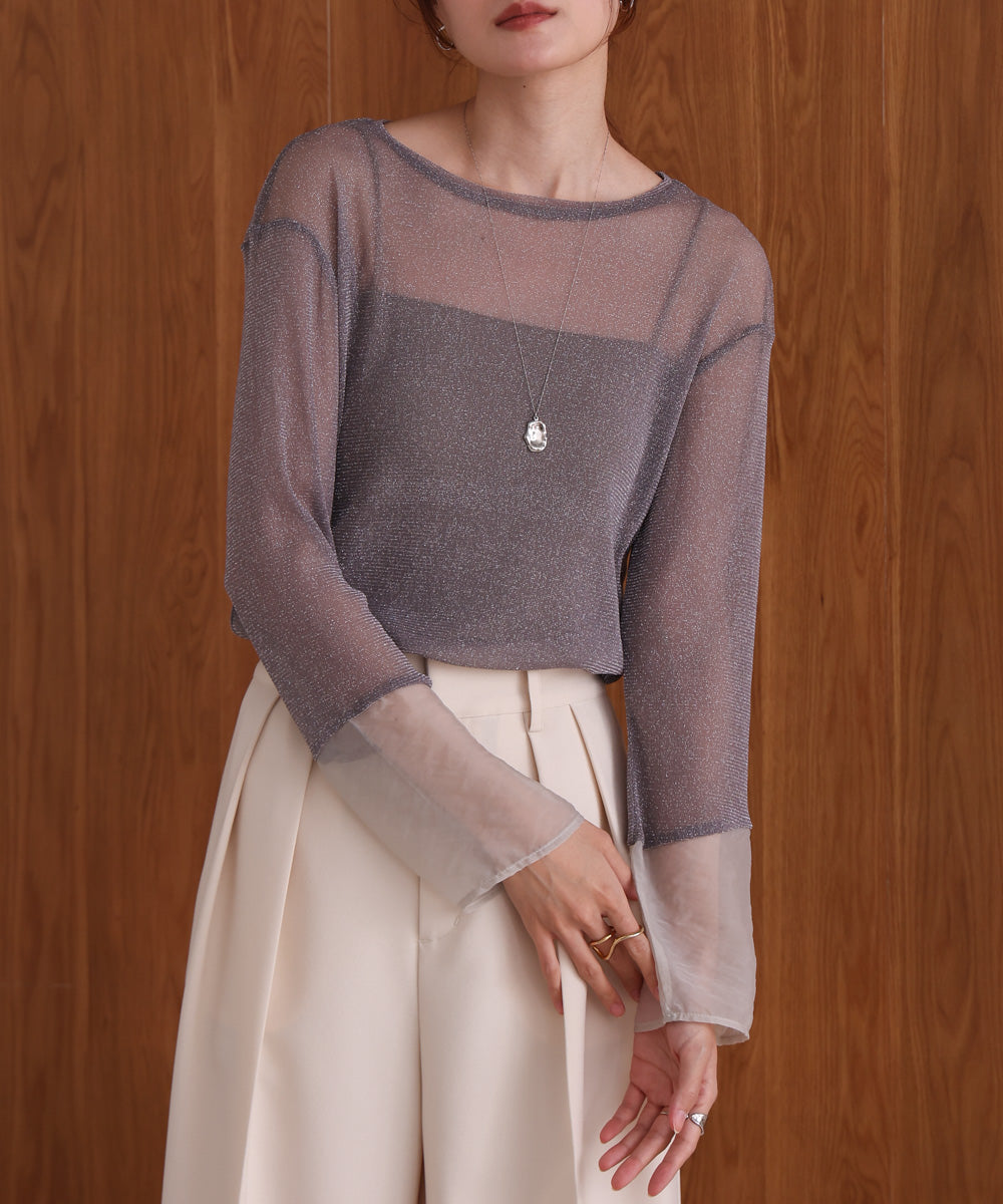 袖シアーラメベーシックカットソートップス