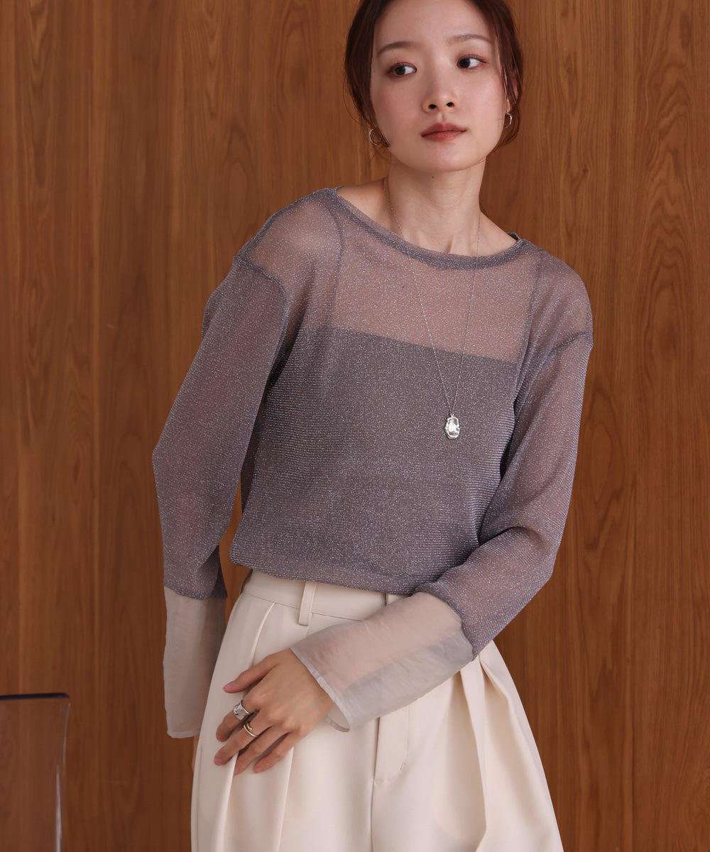 袖シアーラメベーシックカットソートップス