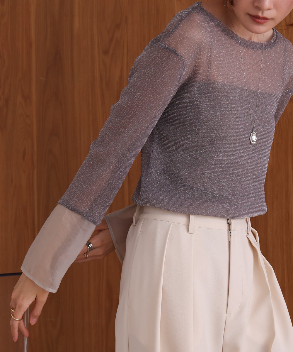 袖シアーラメベーシックカットソートップス