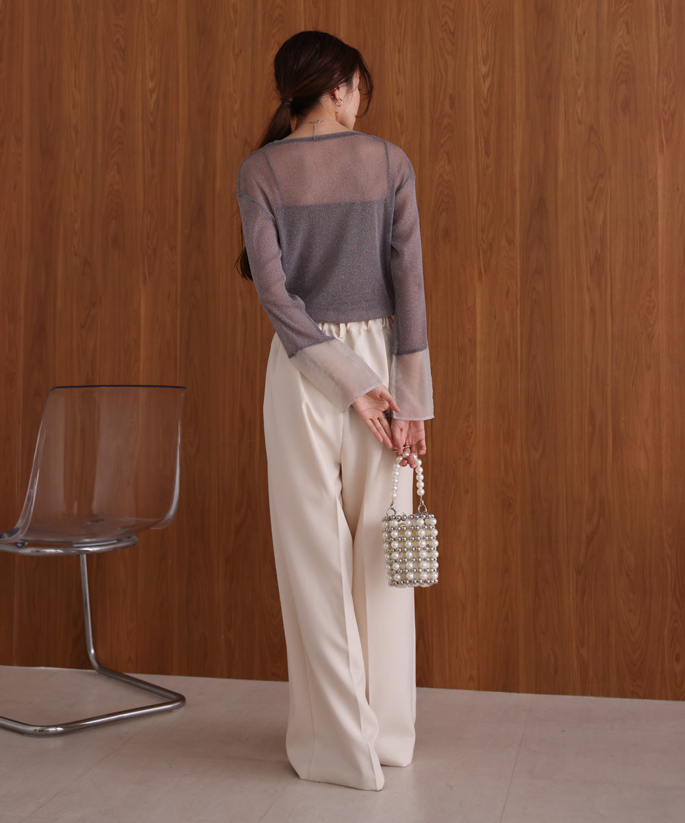 袖シアーラメベーシックカットソートップス