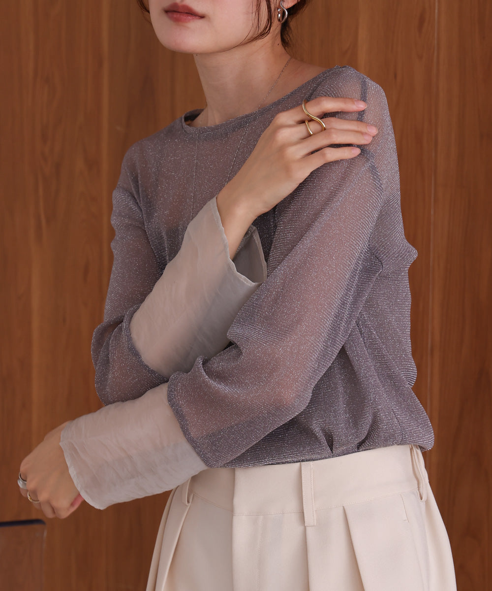 袖シアーラメベーシックカットソートップス