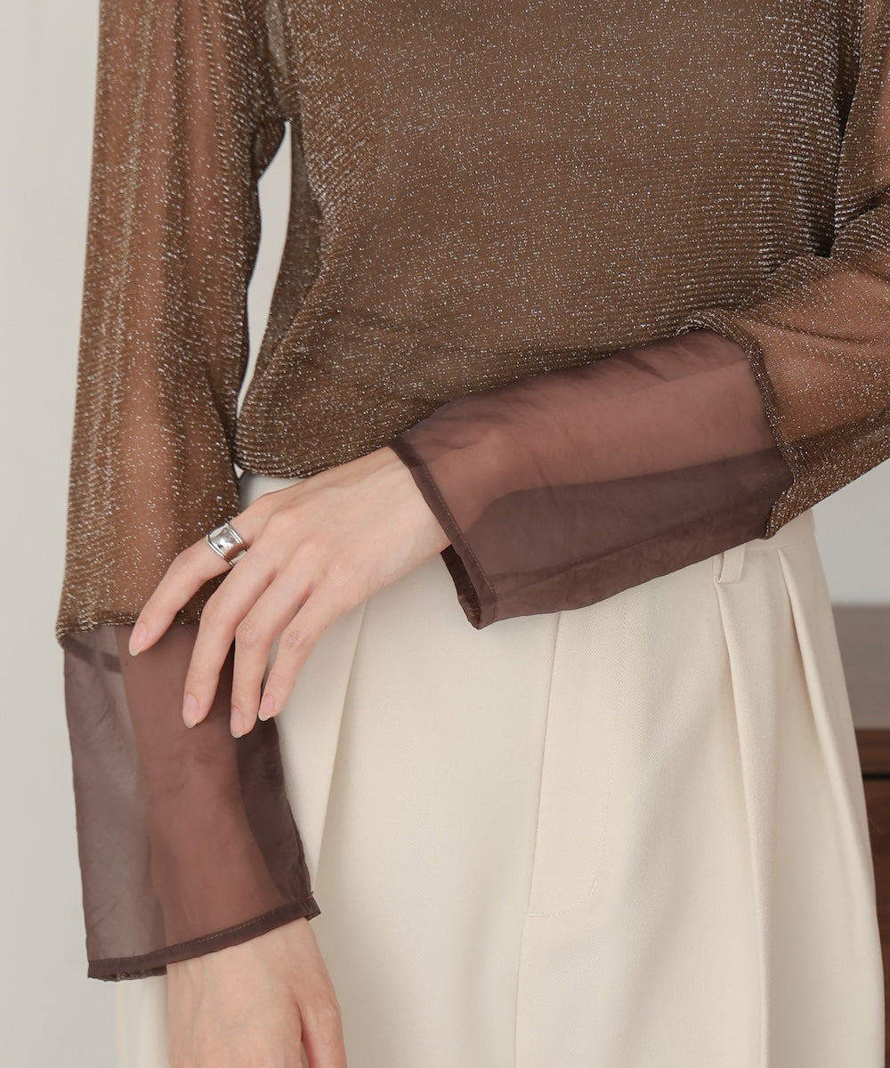 袖シアーラメベーシックカットソートップス