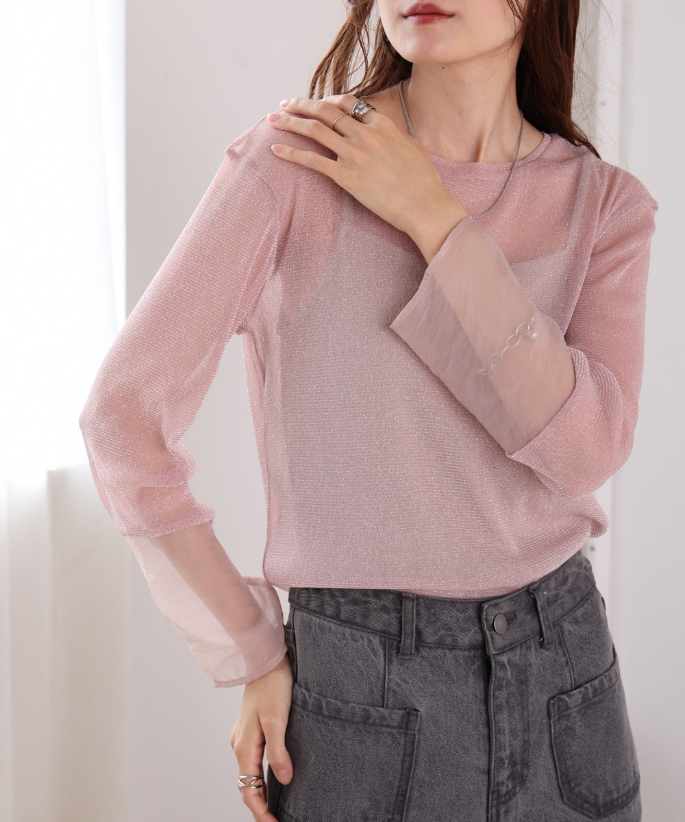 袖シアーラメベーシックカットソートップス