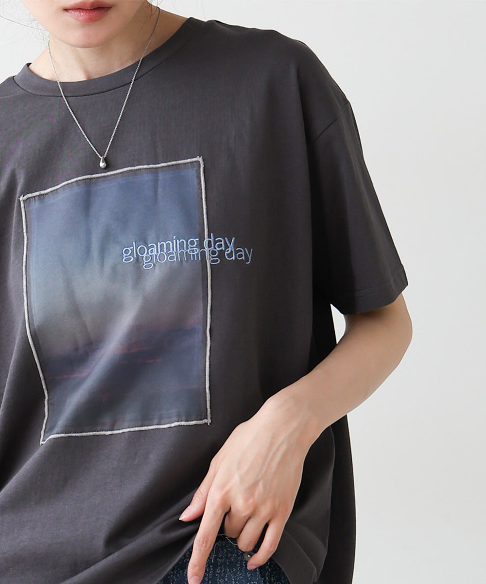 シアーレイヤードプリントTシャツ