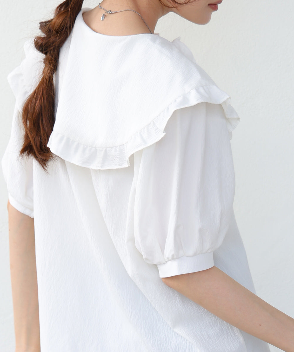 ビックカラーハーフスリーブブラウス