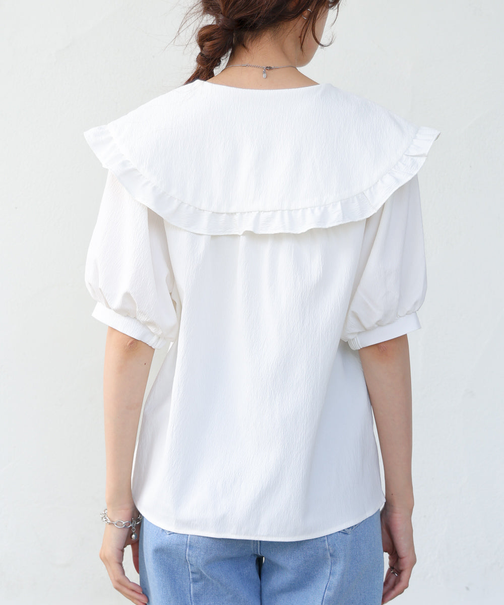 ビックカラーハーフスリーブブラウス