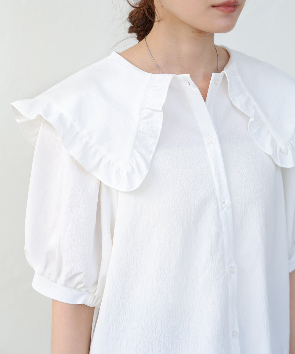 ビックカラーハーフスリーブブラウス