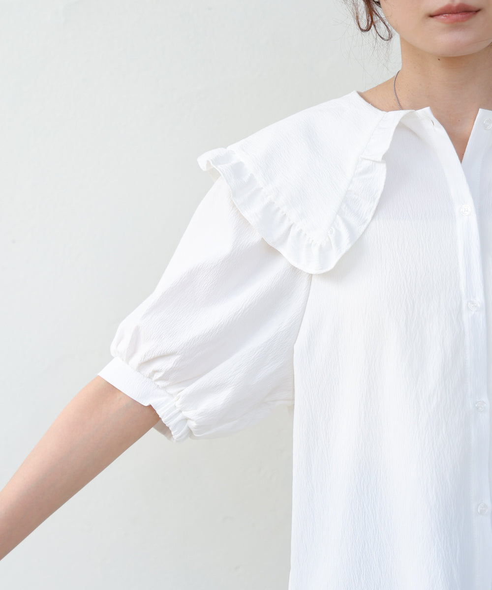 ビックカラーハーフスリーブブラウス