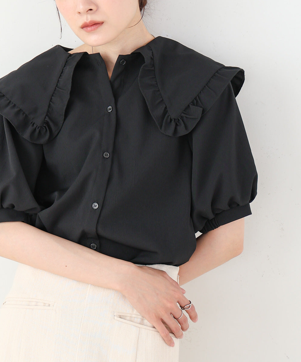 ビックカラーハーフスリーブブラウス