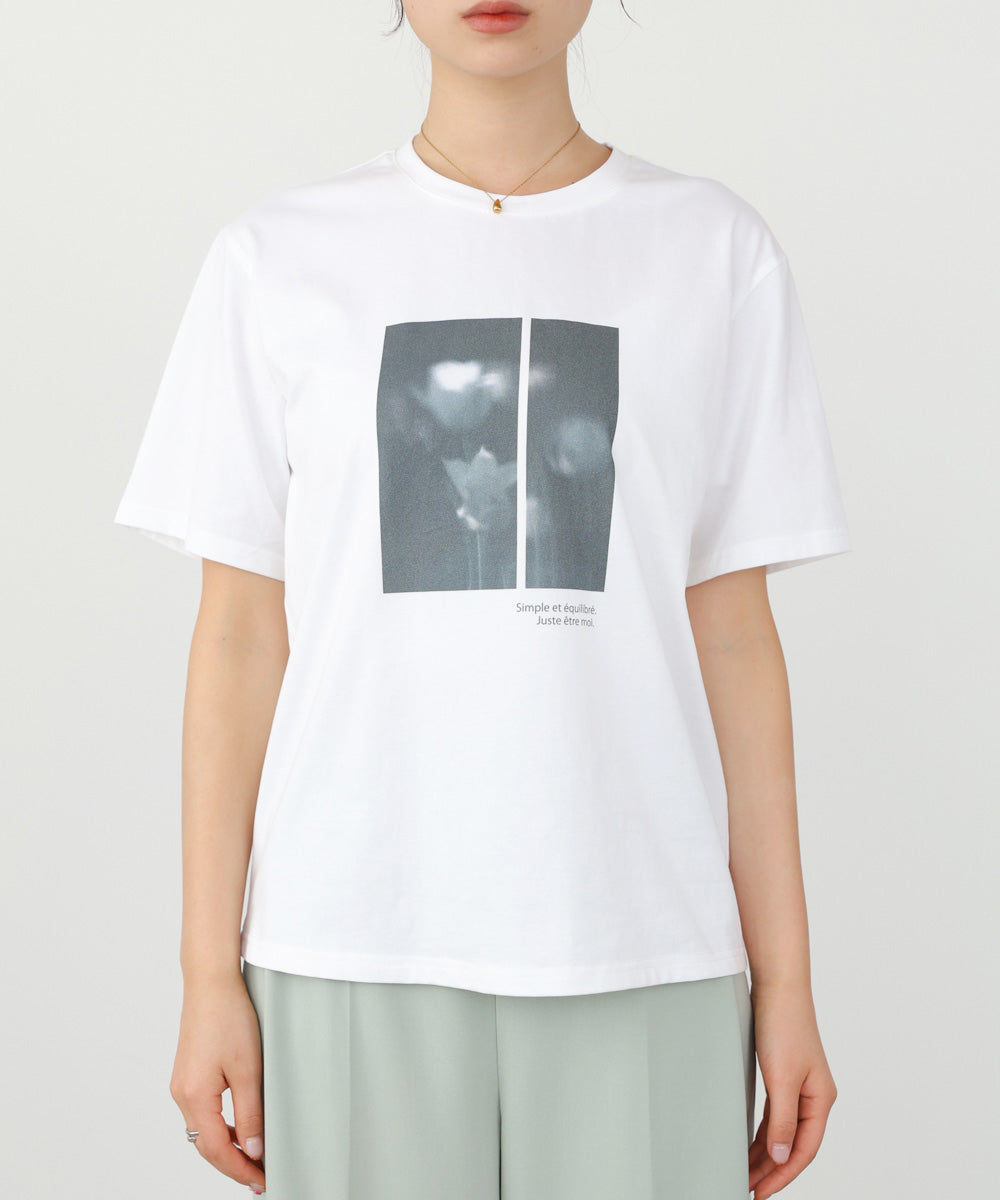 フォトプリントアソートＴシャツ