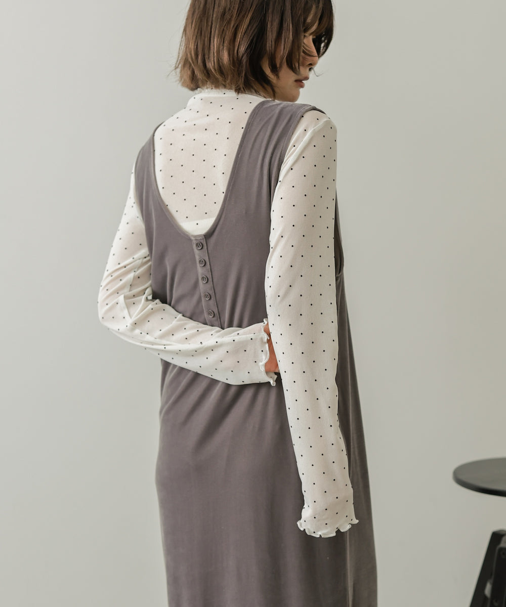 ピンドットシアータートル