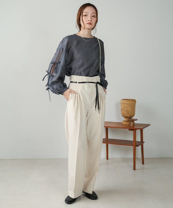 SLEEVE RIBBON SHEER BLOUSE