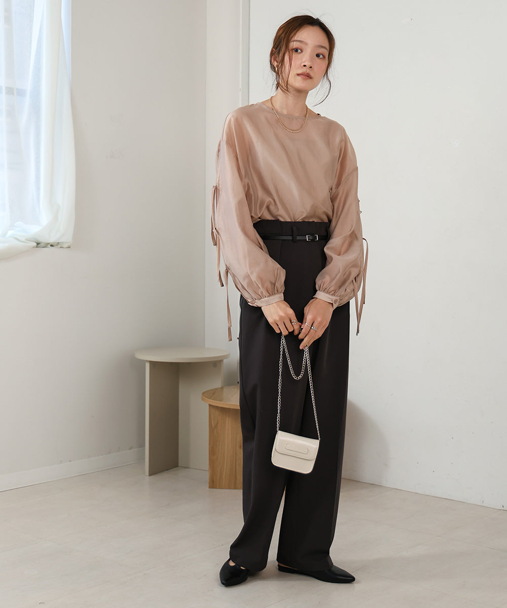 SLEEVE RIBBON SHEER BLOUSE