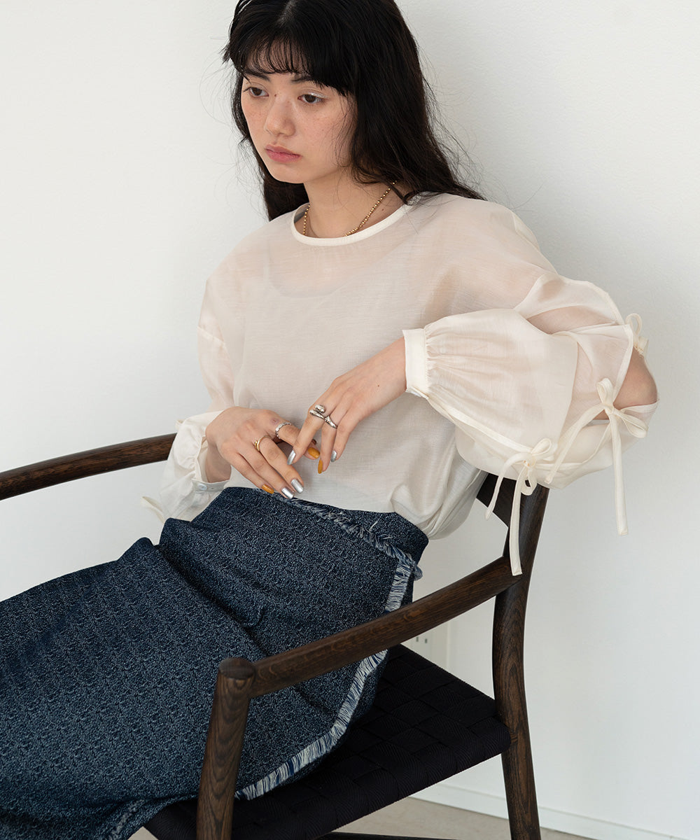 SLEEVE RIBBON SHEER BLOUSE