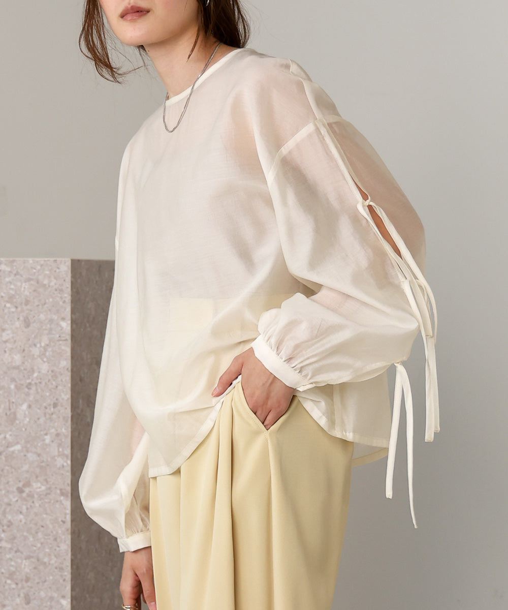 SLEEVE RIBBON SHEER BLOUSE