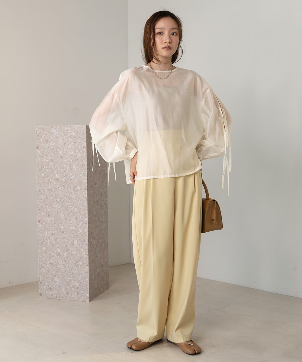 SLEEVE RIBBON SHEER BLOUSE