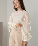 SLEEVE RIBBON SHEER BLOUSE
