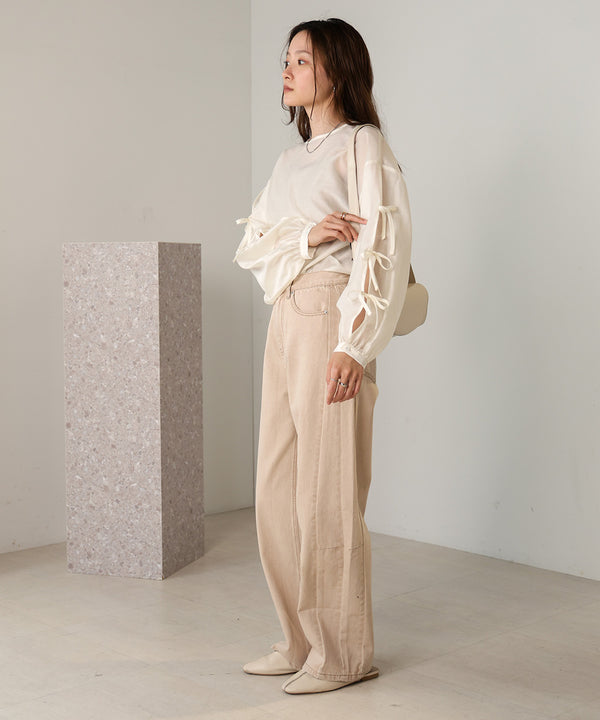SLEEVE RIBBON SHEER BLOUSE