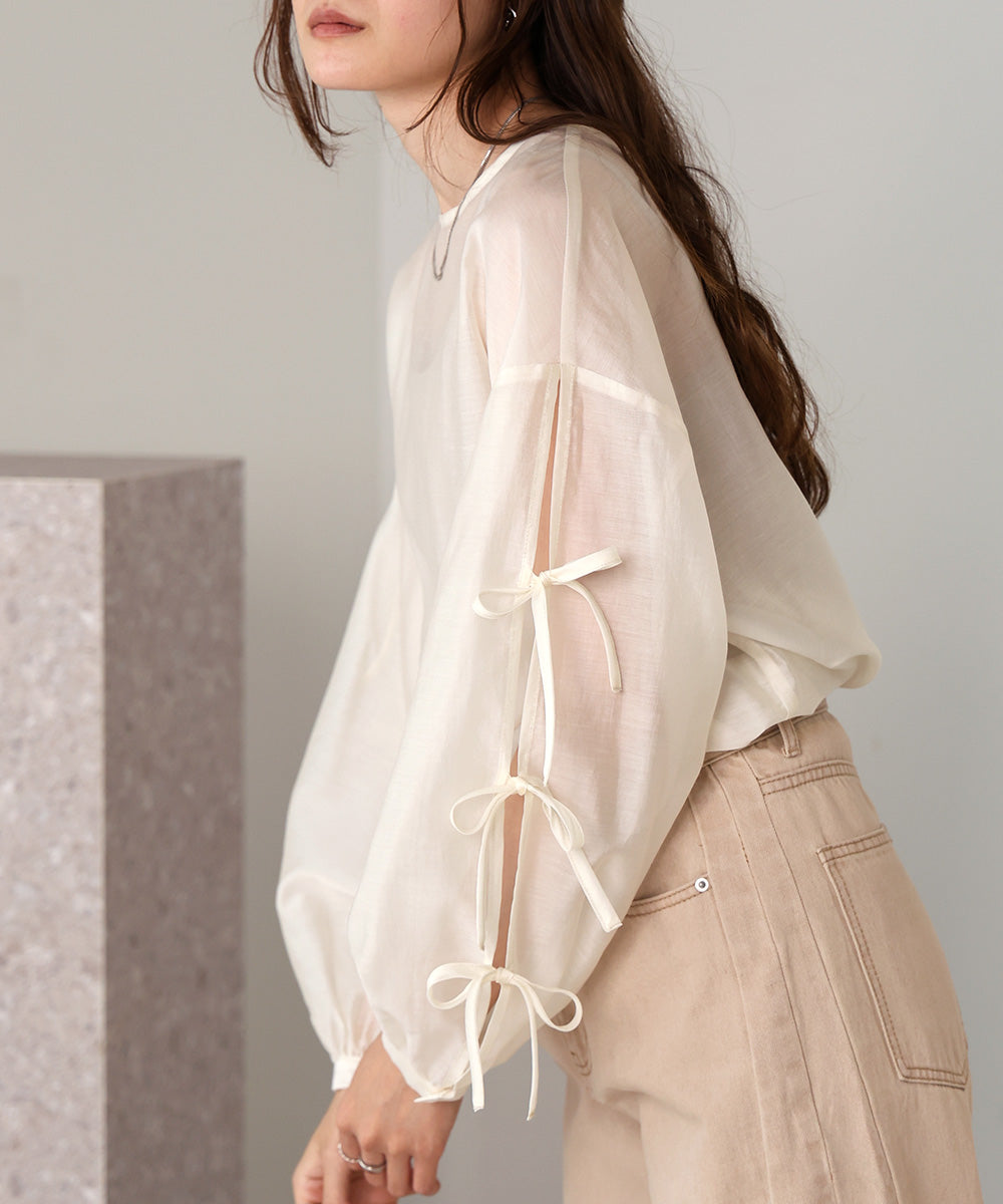 SLEEVE RIBBON SHEER BLOUSE