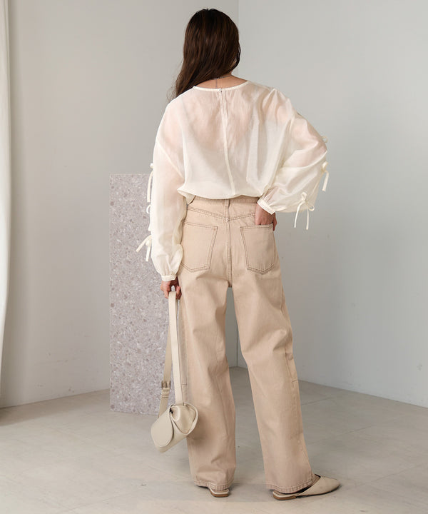 SLEEVE RIBBON SHEER BLOUSE