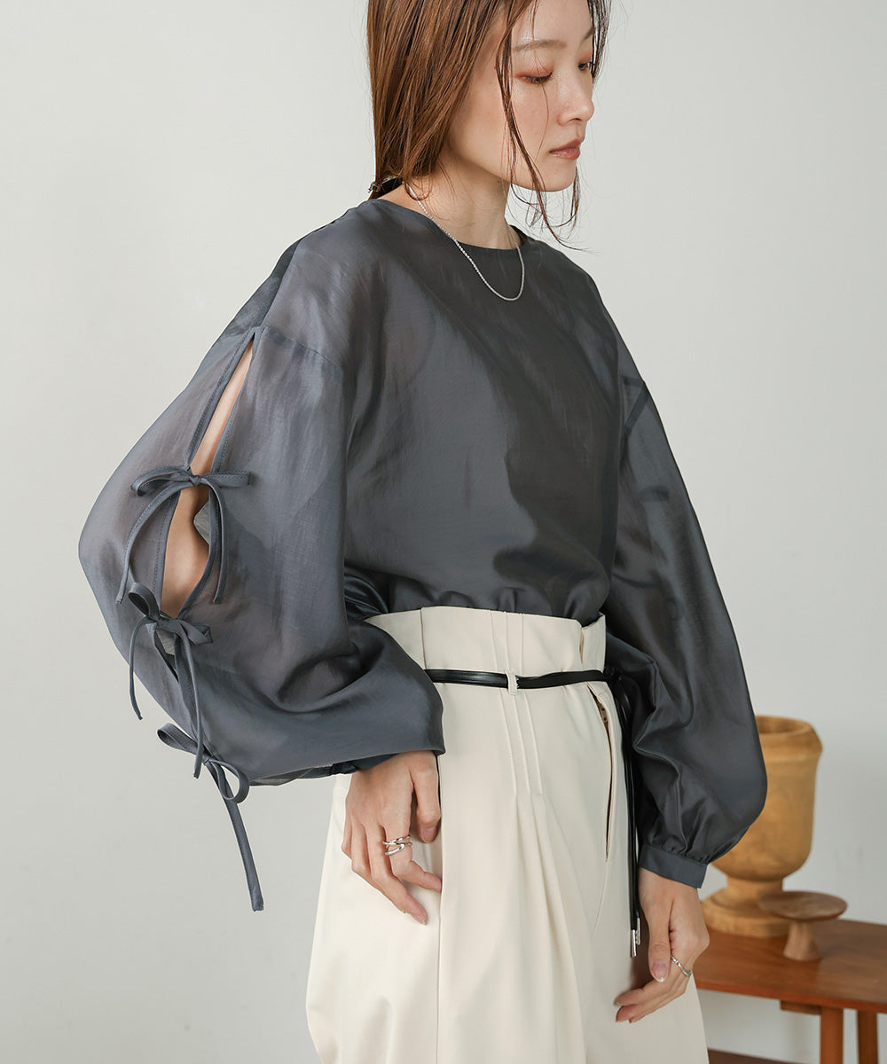 SLEEVE RIBBON SHEER BLOUSE