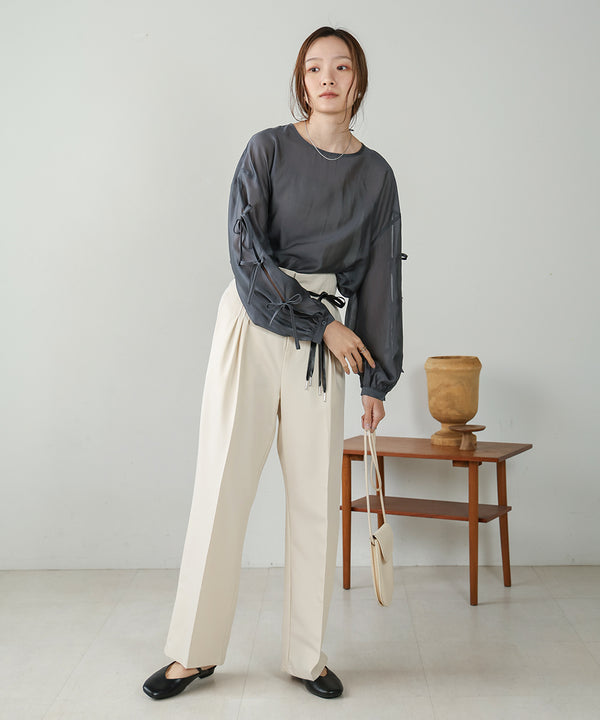 SLEEVE RIBBON SHEER BLOUSE