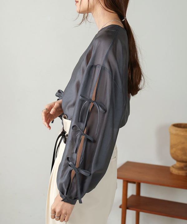 SLEEVE RIBBON SHEER BLOUSE