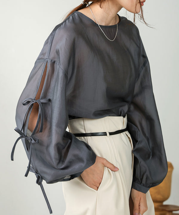 SLEEVE RIBBON SHEER BLOUSE