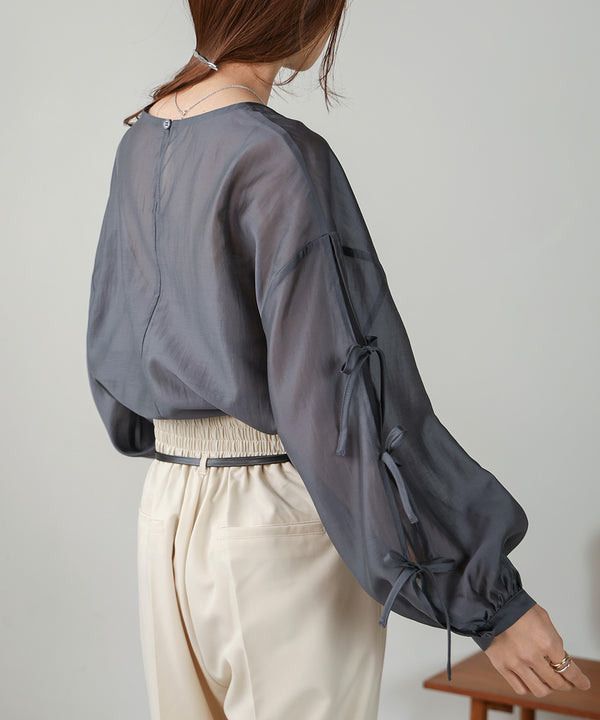 SLEEVE RIBBON SHEER BLOUSE