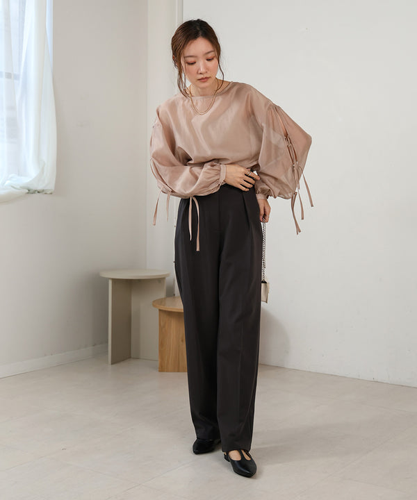 SLEEVE RIBBON SHEER BLOUSE