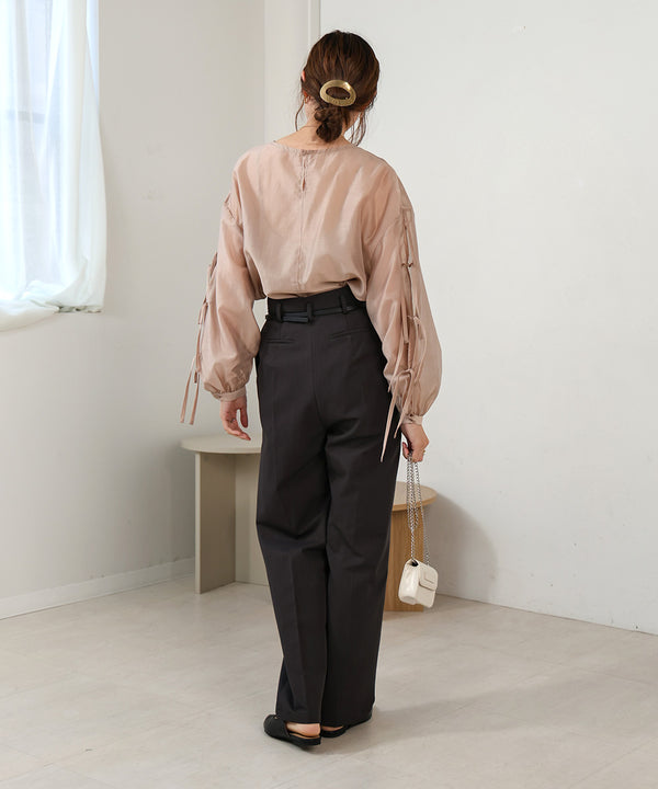 SLEEVE RIBBON SHEER BLOUSE