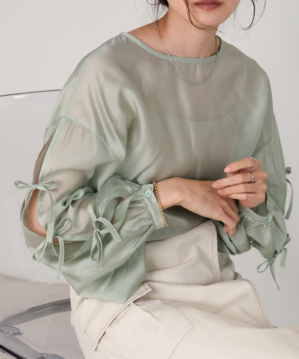 SLEEVE RIBBON SHEER BLOUSE