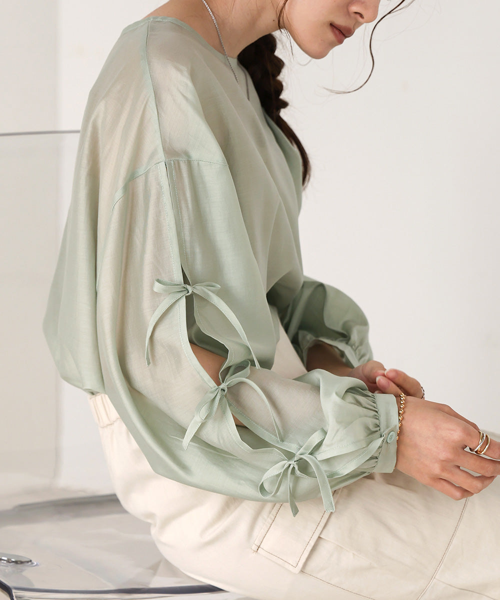 SLEEVE RIBBON SHEER BLOUSE