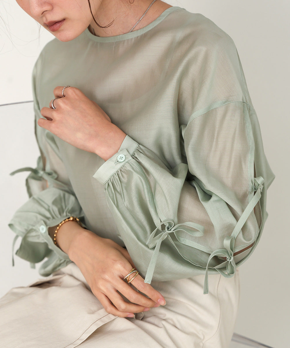 SLEEVE RIBBON SHEER BLOUSE