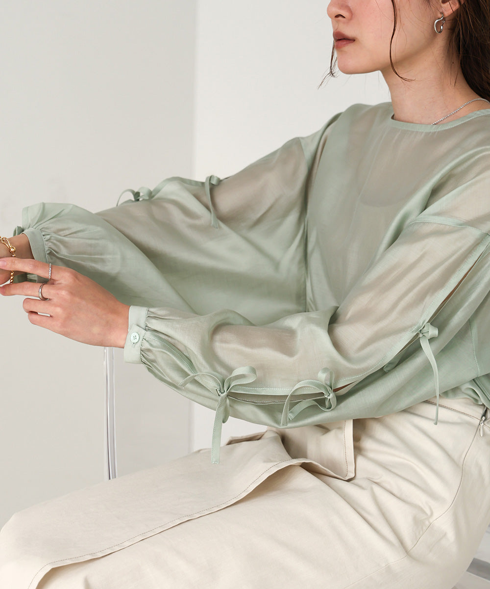 SLEEVE RIBBON SHEER BLOUSE
