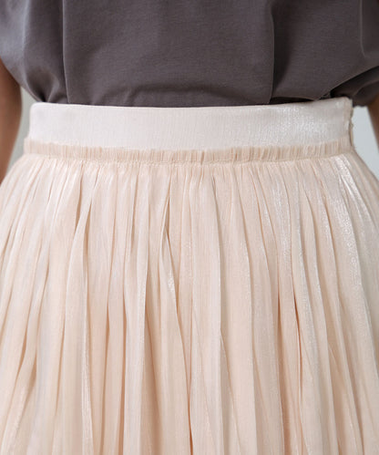sheer glitter pleated skirt