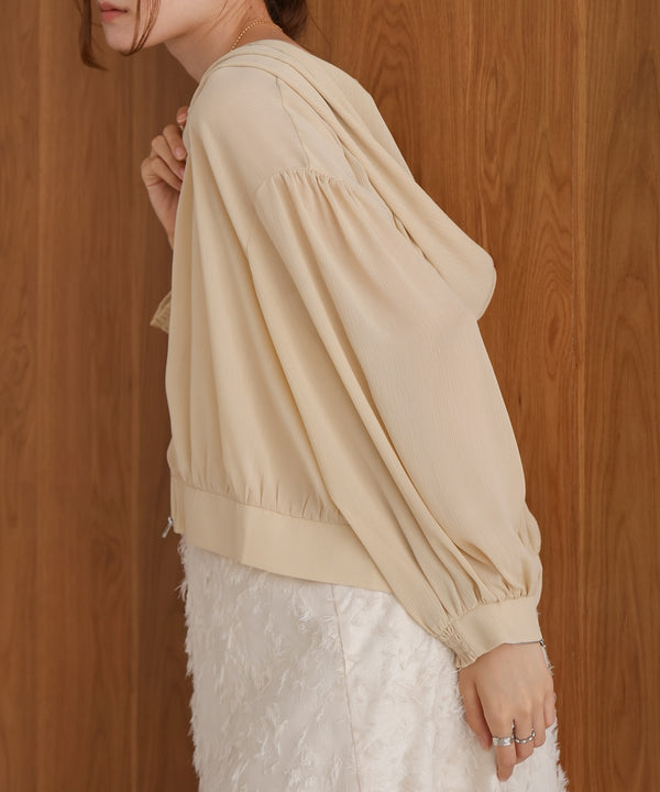 zip sheer blouson with hood