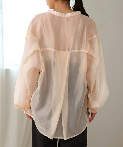 curve design sheer blouse