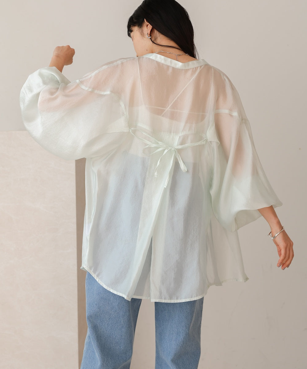 curve design sheer blouse