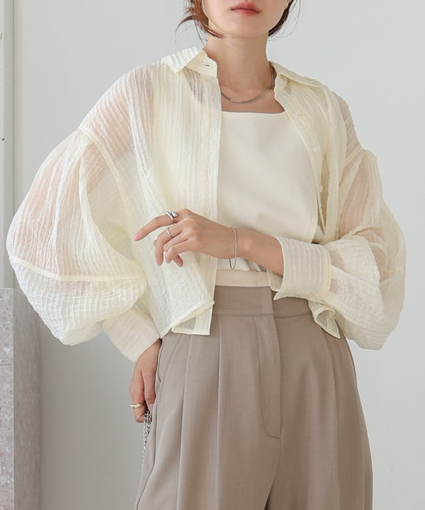 tuck sleeve compact sheer shirt blouse