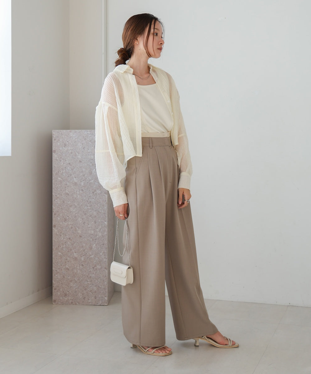 tuck sleeve compact sheer shirt blouse