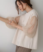 sheer volume sleeve tops